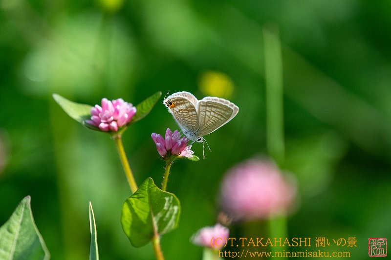 ../Images/7R241013 (6).jpg